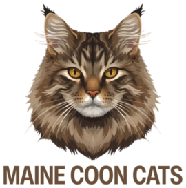 Maine Coon Cats